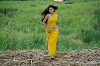 Tapsee Latest Gallery